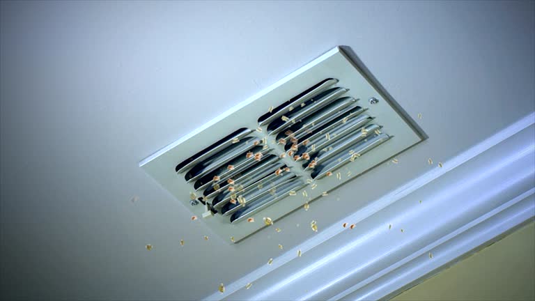 Best Emergency Air Duct Cleaning  in Geneseo, IL