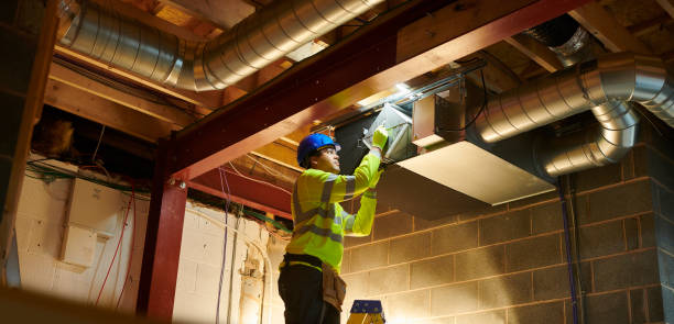 Best Air Vent Cleaning Services  in Geneseo, IL