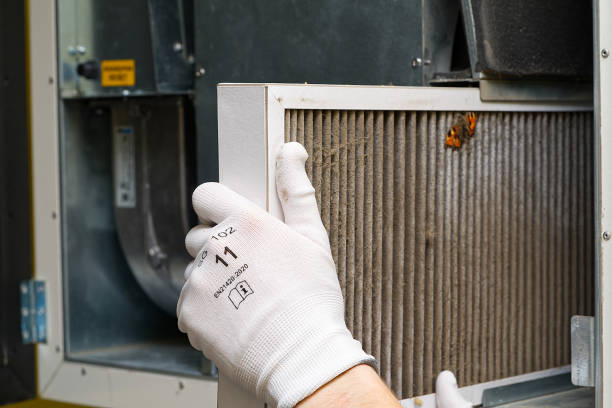 Best Ductwork Cleaning Services  in Geneseo, IL