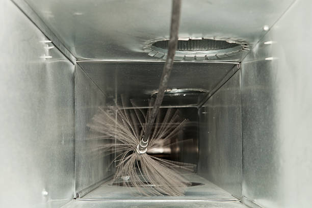 Best Affordable Duct Cleaning Services  in Geneseo, IL